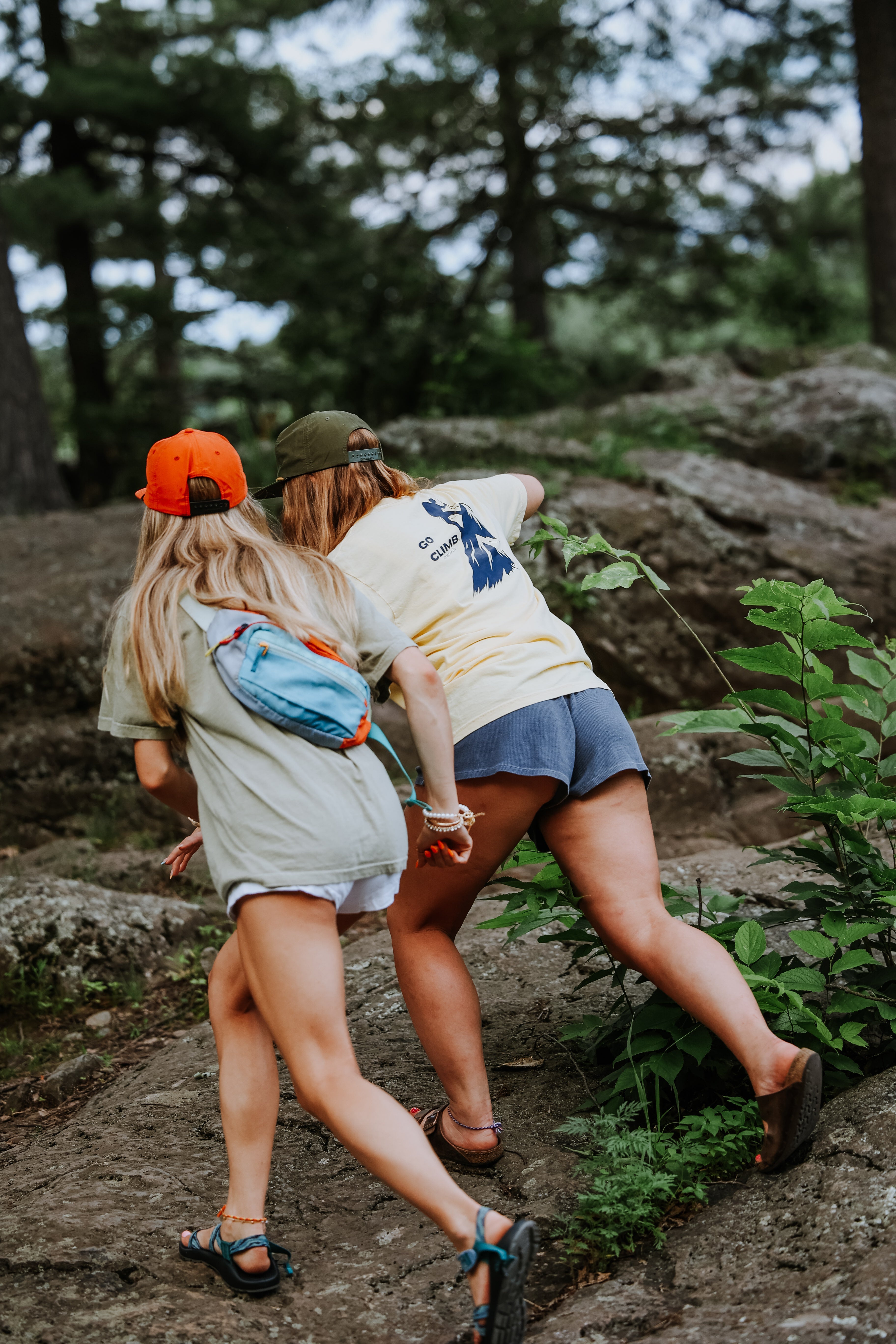 take a hike cover image