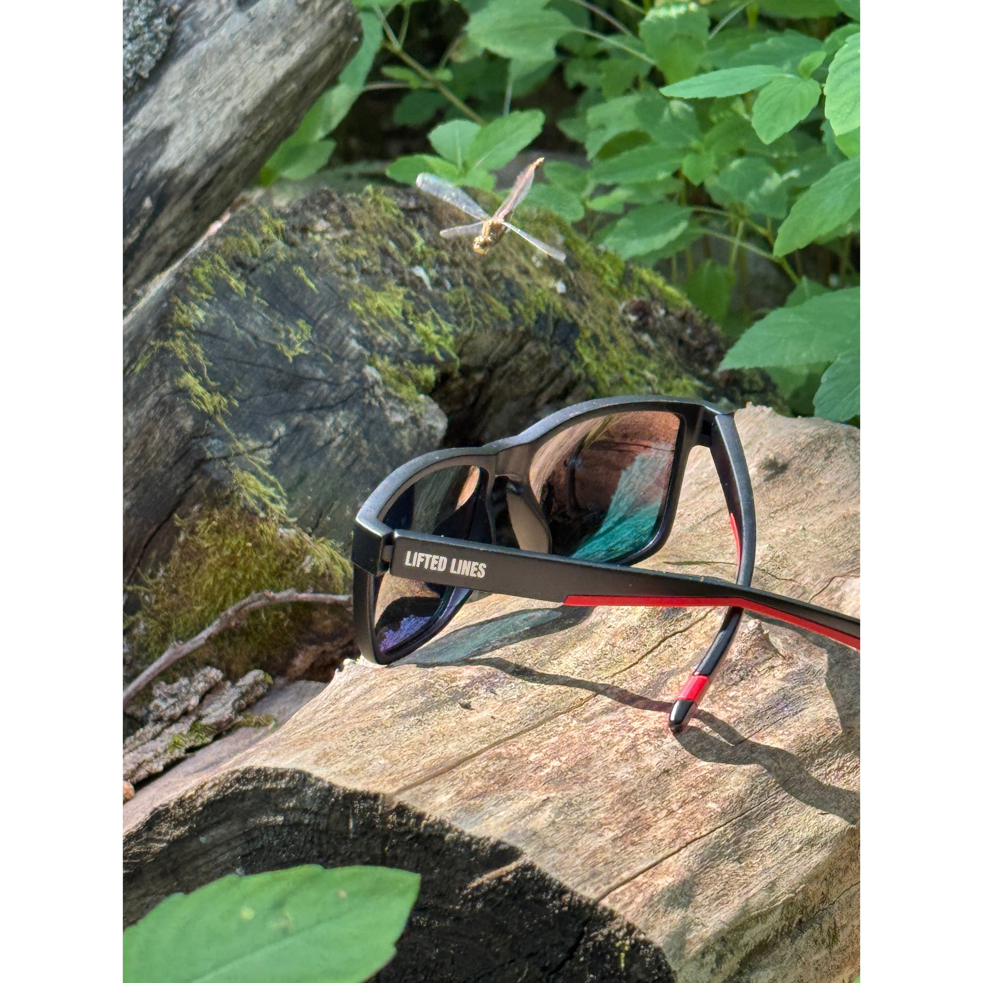 Sunglasses with red accents on a wooden log with green foliage in the background