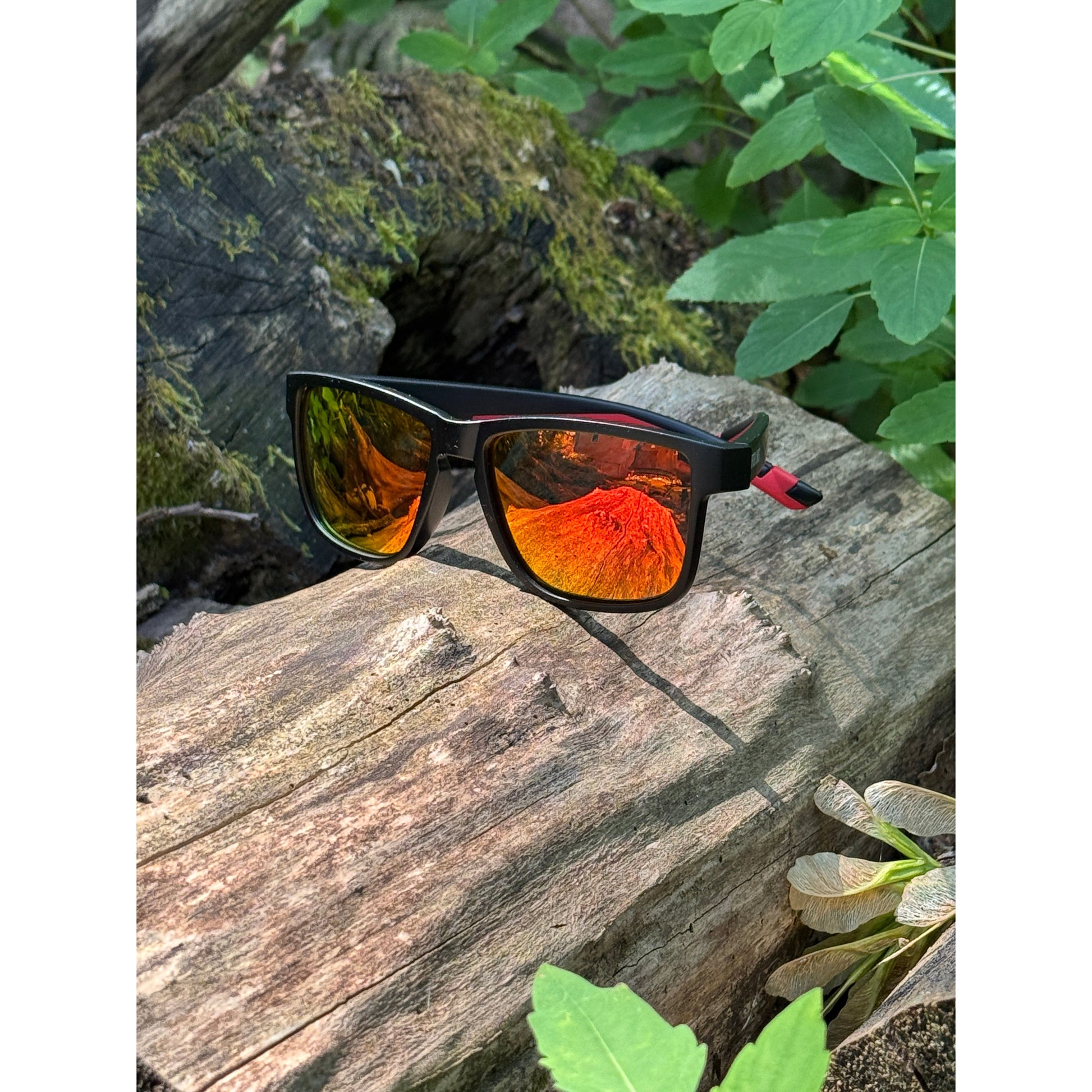 Sunglasses with colorful lenses on a wooden surface with leaves in the background