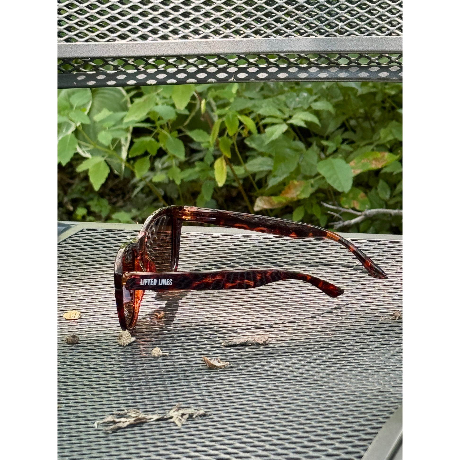 Tortoiseshell sunglasses with 'Lifted Lines' branding on a metal surface with greenery in the background