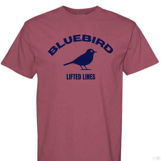 undefined - FRONT