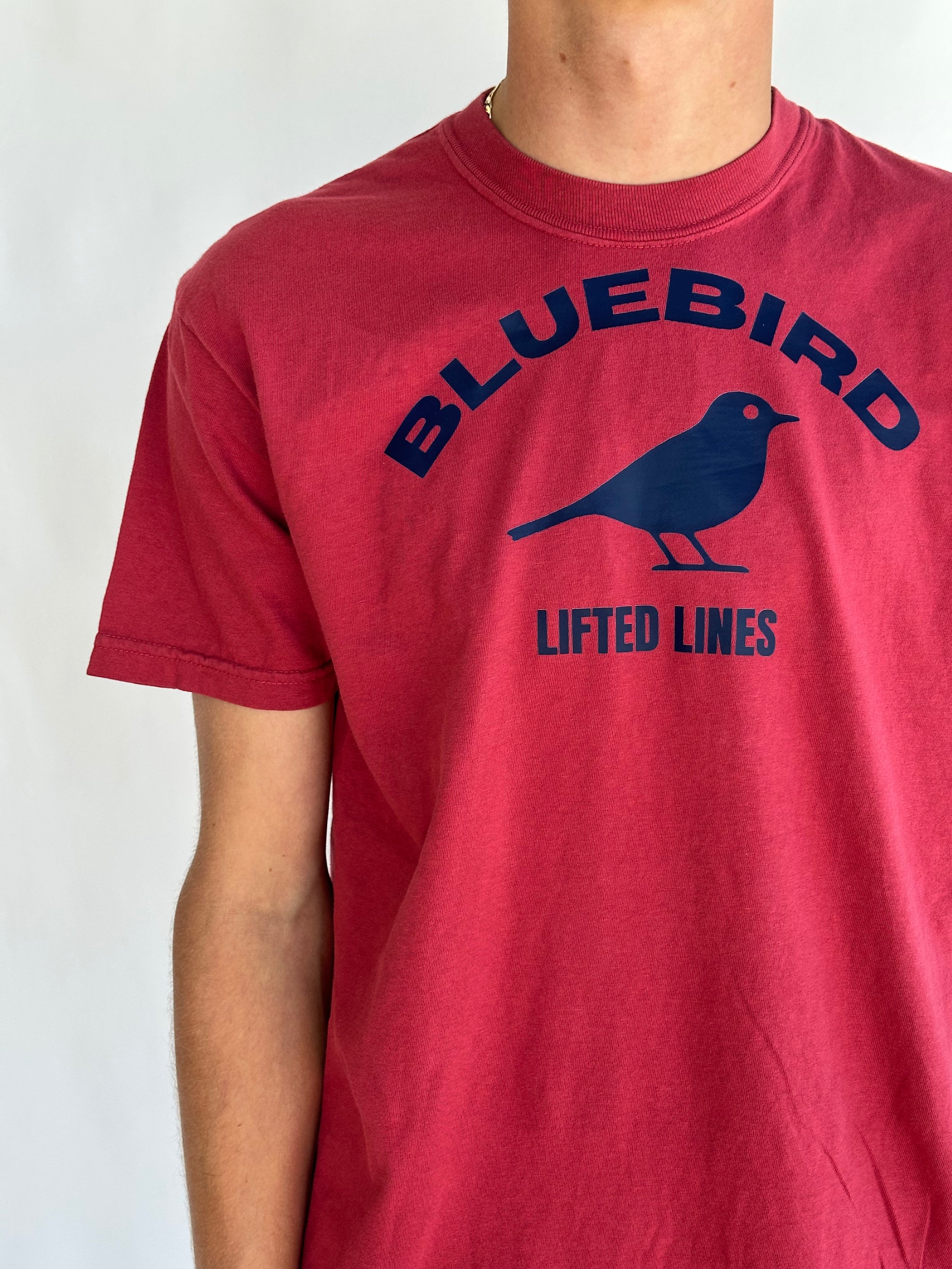 bluebird tee video